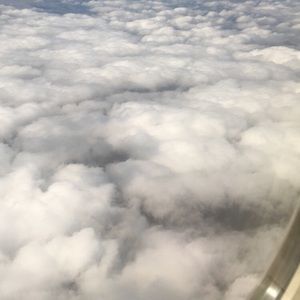 Meet your Posher, Dexter